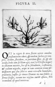 Prophecy figure II from Prognosticatio Eximii Doctoris Paracelsi, 1536. Artist Prophecy figure II from Prognosticatio Eximii Doctoris Paracelsi, 1536. Artist