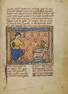 Bestiary Prints: The Prophet Amos; Bestiary, about 1270. Creator: Unknown