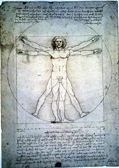 Images Dated 25th January 2013: The proportion of the human figure, by Leonardo da Vinci