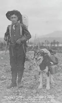 Nome Alaska United States Prints: Prospector and dog ready for the summer trail, between c1900 and 1916. Creator: Unknown