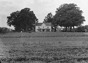 Lawn Collection: Prosperous farmers house and farm landscape seen from the road, near Colbreth, North Carolina