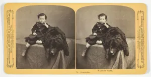 Bennett H H Prints: Protection, 1870 / 89. Creator: Henry Hamilton Bennett