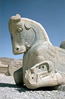 Achaemenian Collection: Protome of a horse, the Apadana, Persepolis, Iran