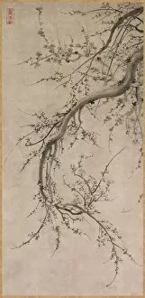 Attributed To Gallery: Prunus, 17th century. Creator: Kano Ein? (Japanese, 1631-1697), attributed to