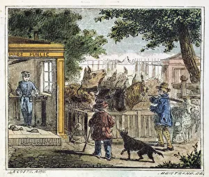 Weighing Device Prints: Public weighbridge used to weigh cattle in a market, 1867