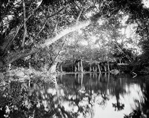 Lagoon Prints: Puente Real near Rascon, between 1880 and 1897. Creator: William H. Jackson