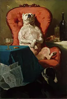 Legs Crossed Prints: Pug Dog in an Armchair, 1857. Creator: Alfred Dedreux