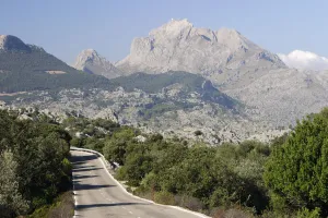 Balearic Islands Gallery: Puig Major, Mallorca, Spain