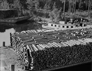 Logging Prints: Pulp wood going down the River Styx to Mobile by inland waterway near Robertsdale