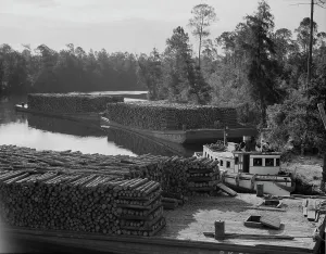Logging Prints: Pulpwood going down the River Styx to Mobile by inland waterway