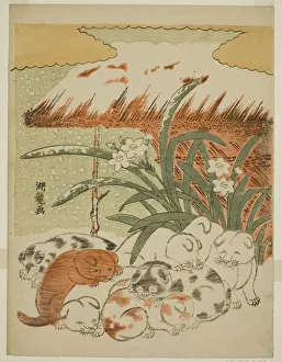 Koryusai Isoda Prints: Puppies in the Snow, c. 1773. Creator: Isoda Koryusai