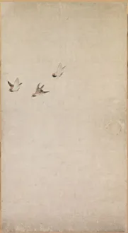 Puppies, Sparrows and Chrysanthemums, 1754-1799. Creator: Nagasawa Rosetsu (Japanese, 1754-1799)