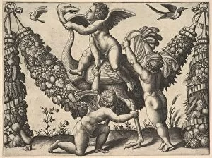 Sanzio Raphael Collection: Three putti before a large garland, the one in the middle rides an ostrich, from a