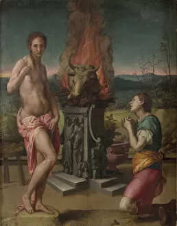 Bronzino Collection: Pygmalion and Galatea, ca 1530