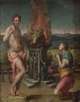 Bronzino Collection: Pygmalion and Galatea, ca 1530