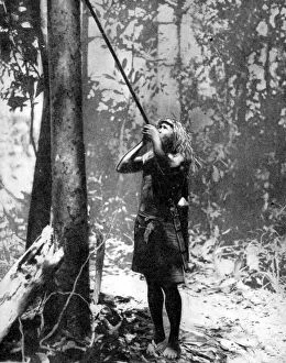 Peoples Of The World In Pictures Gallery: Pygmy tree dweller using a blow-gun, Malaya, 1936.Artist: Malayan Information Agency