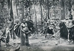 Congo Prints: A Pygmy village, North-East Congo Basin, 1912