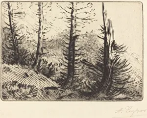 Pyrenees Prints: In the Pyrenees (Dans les Pyrenees). Creator: Alphonse Legros