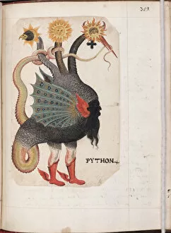 Alchemy Collection: Python (from: Alchemical and Rosicrucian Compendium), ca 1760. Artist: German master