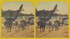 Pack Animals Prints: Quai des Tuileries Paris, about 1870. Creator: Unknown
