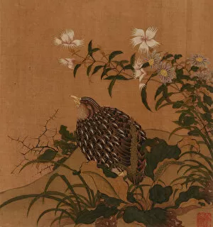 Images Dated 20th August 2021: Quail and flowers, Qing dynasty, 18th century. Creator: Unknown