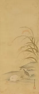 Tranquility Gallery: Quail and Millet, late 17th century. Creator: Kiyohara Yukinobu