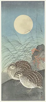 Landscapeanimals And Birds Prints: Two quail at full moon. Creator: Ohara, Koson (1877-1945)