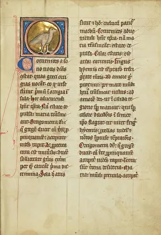 Bestiary Prints: A Quail; De Natura Avium; De Pastoribus et Ovibus; Bestiarium