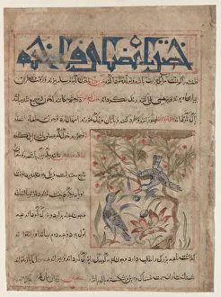 Qualities of Ringdoves (recto); On the Benefits of Quails (verso)... c. 1300. Creator: Unknown