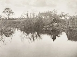 Freesia Prints: Quanting the Gladdon, 1886. Creator: Peter Henry Emerson