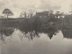 Fens Prints: Quanting the Gladdon, 1886. Creators: Dr Peter Henry Emerson, Thomas Frederick Goodall