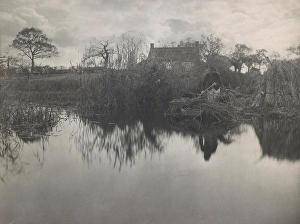 Quanting Prints: Quanting the Gladdon, 1887. Creator: Peter Henry Emerson