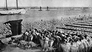 Quantities of codfish drying in the sun at Aveiro by the mouth of the Vouga, Portugal, c1930s. Artist: AW Cutler