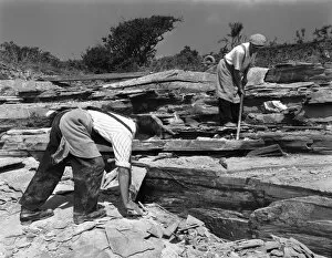 Cornish Gallery: Quarrying slate by hand at Trebarwith Slate Quarry, Cornwall, 1959
