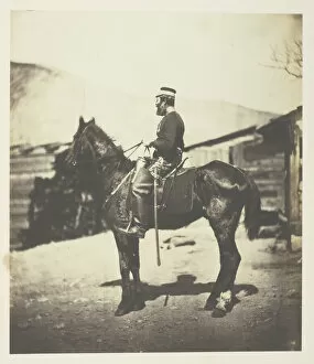 Crimean War Gallery: Quartermaster Hill, 4th Lt. Dragoons. The Horse taken immediately after the winter season
