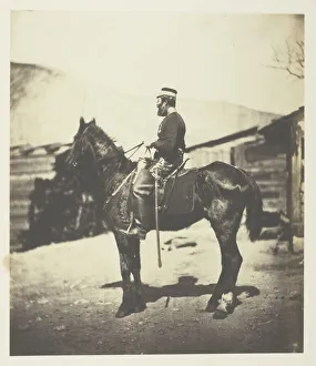 Crimea Ukraine Gallery: Quartermaster Hill, 4th Lt. Dragoons. The Horse taken immediately after the winter season