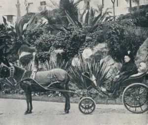 Argyll Prints: The Queen Driving in the Grounds of the Grand Hotel at Grasse During Her Holiday in the Riviera in Artist