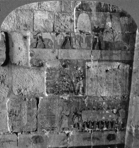 James Henry Prints: Queen Makeres expedition to East Africa - reliefs carved at Der-el-Bahri