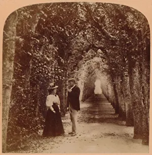 Arbour Prints: Queen Marys Bower, Hampton Court, London, England, 1896. Creator: Underwood & Underwood