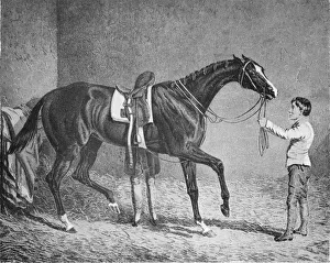 Queen of Trumps, 1832-1843, (1911)