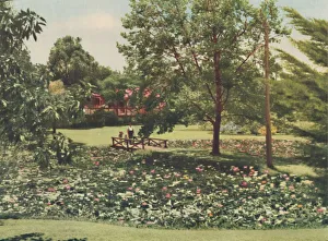 Perth Prints: Queens Gardens, c1947. Creator: Unknown