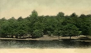 Victoria Collection: Queensmere, Wimbledon Common, London, 1903. Creator: Unknown