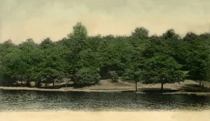 Commemorative Prints: Queensmere, Wimbledon Common, London, 1903. Creator: Unknown