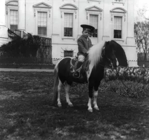 Quentin Roosevelt I Prints: Quentin Roosevelt on a pony, c1902 June 17. Creator: Frances Benjamin Johnston