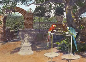 Parrots Prints: Quiet Corner, John Wesley Baxter house