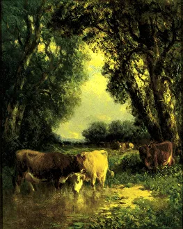 William M Hart Prints: A Quiet Nook, 1885. Creator: William Hart