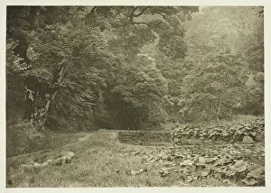 A Quiet Nook in Beresford Dale, 1880s. Creator: Peter Henry Emerson