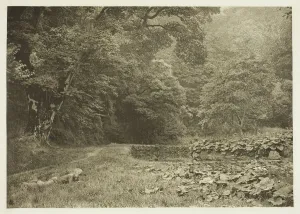 A Quiet Nook in Beresford Dale, 1880s. Creator: Peter Henry Emerson A Quiet Nook in Beresford Dale, 1880s. Creator: Peter Henry Emerson