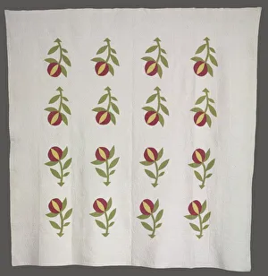 Cowan Prints: Quilt, c. 1880 (?). Creator: Unknown