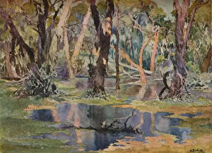 Quindanning Pool, c1927. Artist: Archibald Bertram Webb